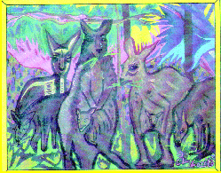 November/December Cover